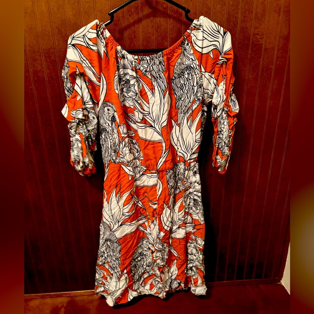 MSK Vibrant Orange and Black Floral Dress